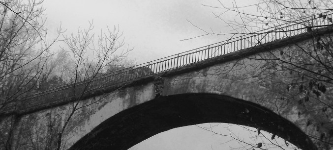 DSCF1612 - Copie.JPG
