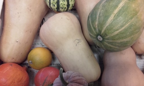 courges (2).jpg