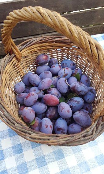 plums