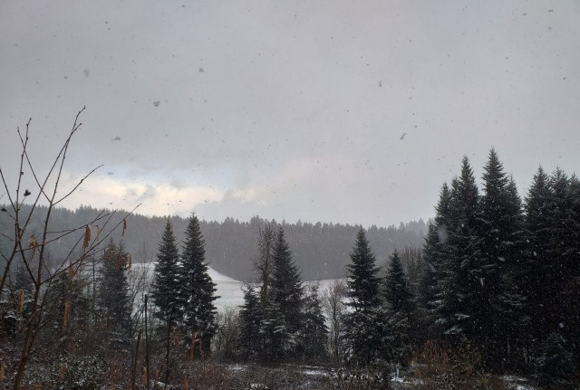 20190312_200841.jpg