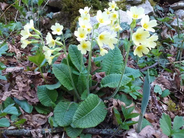 20190418_081354.jpg