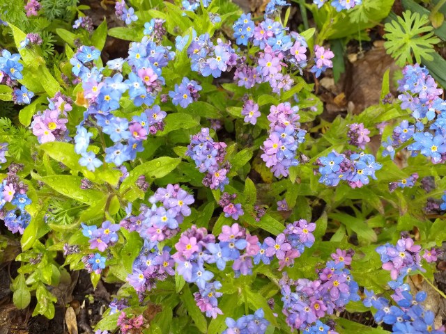 20190510_120812.jpg