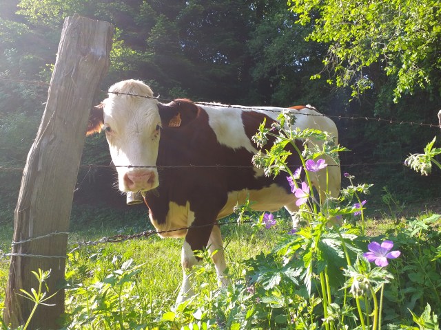 20190603_090521.jpg