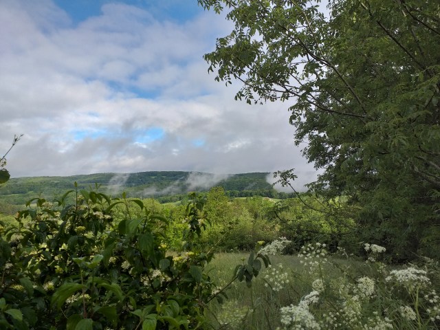 20190612_083212.jpg