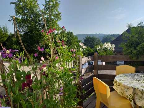 terrasse fleurs 4