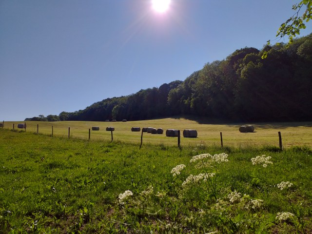 20200601_085624